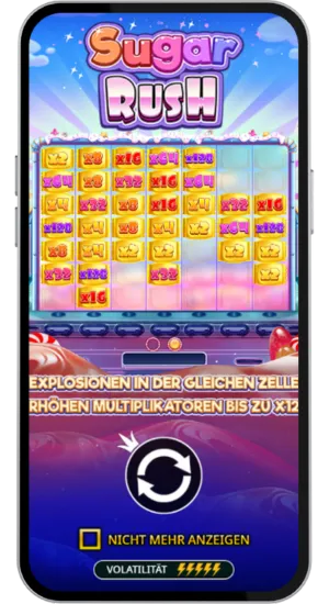 Multiplikator Aufbau